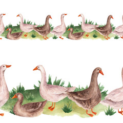 Obraz premium Pattern with geese in watercolor