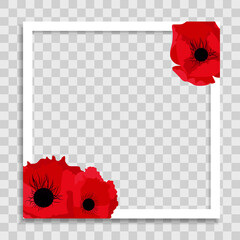 Empty Photo Frame Template with Spring poppy Flowers for Media Post  in Social Network. Vector Illustration - obrazy, fototapety, plakaty