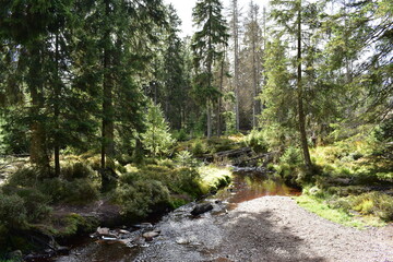 Landschaftsfotografie im Harz