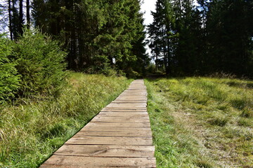 Obraz premium Landschaftsfotografie im Harz