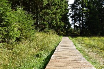 Landschaftsfotografie im Harz