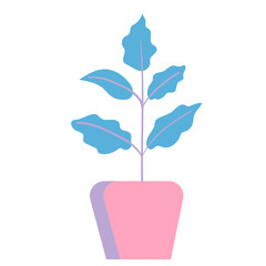 Flat vector icon of indoor plant curve green leaves in pink pot isolated on white background