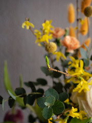 Bouquet of spring flowers, pink and white tulips, white ranunculus, sprigs of yellow forsythia and eucalyptus, orange dianthus in a glass vase on a gray concrete background in the morning light