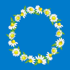 Watercolor illustration of a wreath of daisies on a blue background