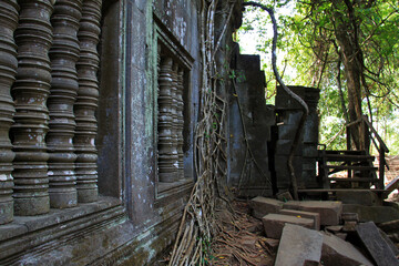 Jungle ruins of Beng Mealea temple, Cambodia