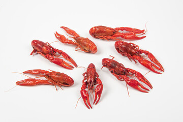 crawfish or crayfish isolated on white background,close up