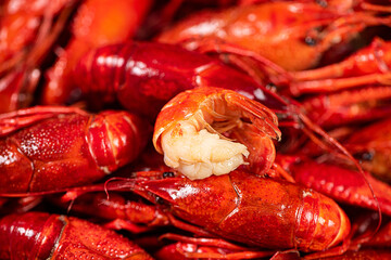 Boiled red crawfish or crayfish and lobster in plate on table