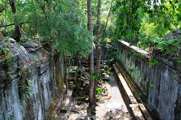 Jungle ruins of Beng Mealea temple, Cambodia