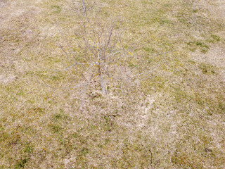 Landschaftsfotos in Bayern mit Feldern und Wiesen bei Tageslicht fotografiert