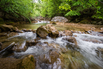 Naklejka na ściany i meble Flowing stream on the forest