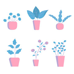 Set of vector icons of different houseplants in bright pink pots.