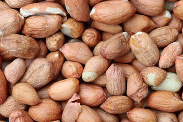 Full frame bird food peanuts