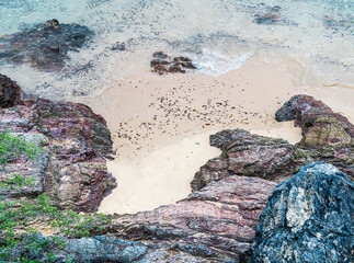 Beautiful rocks on the seashore, seascape background
