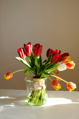 Bouquet of tulips in a glass vase on a beige background in sunlight. Coffee decanter detail as stylish decor element