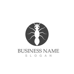 Ant vector illustration design