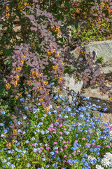 View of garden near Aphrodite in Rajecke Teplice. Slovakia
