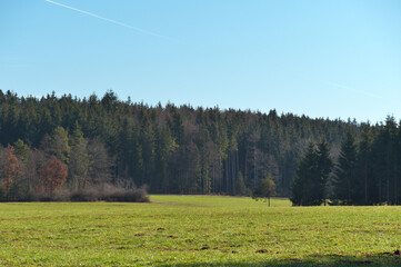 landschaft mit wiese, wald und blauem himmel