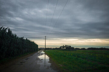Fototapeta premium Paysage sauvage d'hiver sous un ciel dramatique avec des nuages , de la pluie, UN poteau electrique isolé se reflete dans une flaque d'une route abandonnée. France