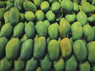 Pile of Fresh Green Mango Fruits for Sale