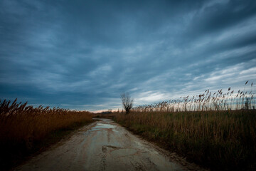 Paysage sauvage d'hiver sous un ciel dramatique avec des nuages , de la pluie, de la neige. Camargue, France