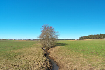 Fototapeta na wymiar bäuerliche landschaft mit wiesen, bach , wald und blauen himmel
