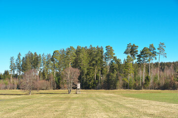 landschaft mit wiese, wald und blauem himmel