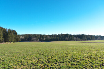 landschaft mit wiese, wald und blauem himmel