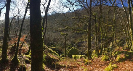 promenade sur Saint-Herbot en Bretagne Finistère France	
