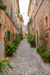 Fototapeta na wymiar Beautiful streets with plants in the village of Valldemossa in the Sierra de Tramuntana. Palma de Mallorca, Spain