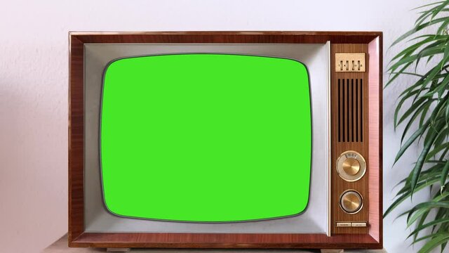 old retro analog TV with blank green screen for designer, video film stands in light room, ficus houseplant nearby, concept of cozy house 1960-1970, stylish mockup, template for video, 4K