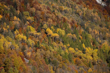 Fototapeta premium autumn in the mountains