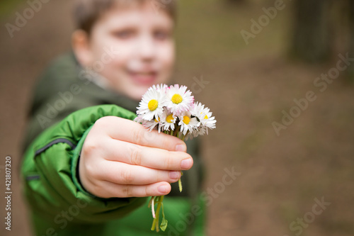 Mothers day theme. Boy holding bunch of meadow sunshine flowers. Spring celebration bouquet. Picture in the forest. Early flowers. Emotional present.