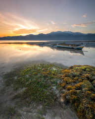 The warm morning sun