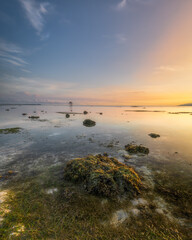 When morning say hello