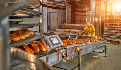 Bread bakery food factory production with fresh products. Automated production of bakery products. Baker man working at bread production line. - Powered by Adobe