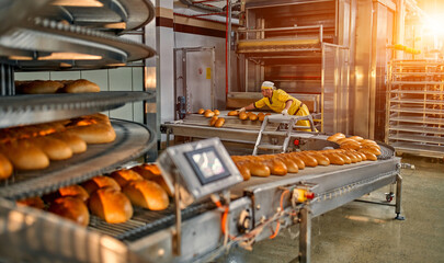 Bread bakery food factory production with fresh products. Automated production of bakery products....