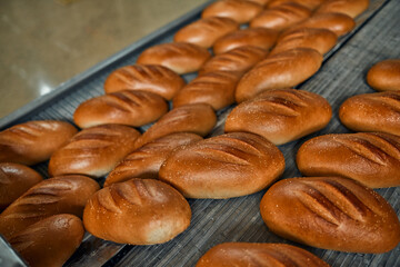 Automatic line for the production of bakery products with a loaf on a conveyor belt, equipment in the workshop of a confectionery factory, industrial food production. Production oven at the bakery.