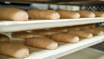 Bread baking in oven. Production oven at the bakery. Baking bread. Manufacture of bread. Blinded...
