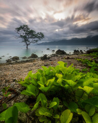 It's slowly getting better