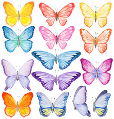 Watercolor butterfly Illustrations set