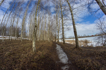 The bank of a frozen river in early spring. Many bare trees grow on the shore.