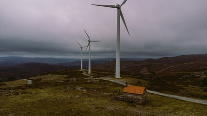 wind turbines farm