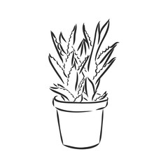 Sansevieria trifasciata hand drawn vector outline doodle icon. Decorative potted house plant sketch illustration for print, web, mobile and infographics isolated on white background.