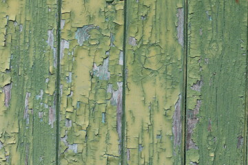 texture di parete di legno di colore verde con vernice rovinata