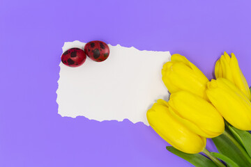 Yellow tulips with white sheet for text or mockup and two red quail eggs. Easter background. Copy space