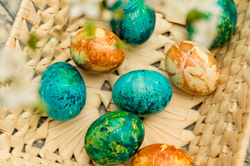 Easter. a Christian religious holiday. speckle chicken eggs in basket. tradition to variegate with various colors and various techniques. biggest spring celebration.