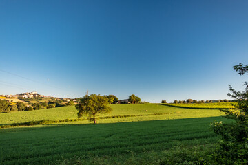 Beautiful sunrise in the countryside of Marche in a summer morning
