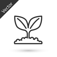Grey line Plant icon isolated on white background. Seed and seedling. Leaves sign. Leaf nature. Vector