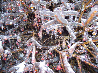 close up of ice