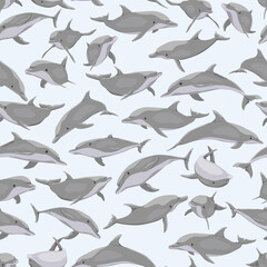 Seamless pattern with Common bottlenose dolphin on a blue background. Dolphins Tursiops truncatus in different poses. Realistic vector illustration